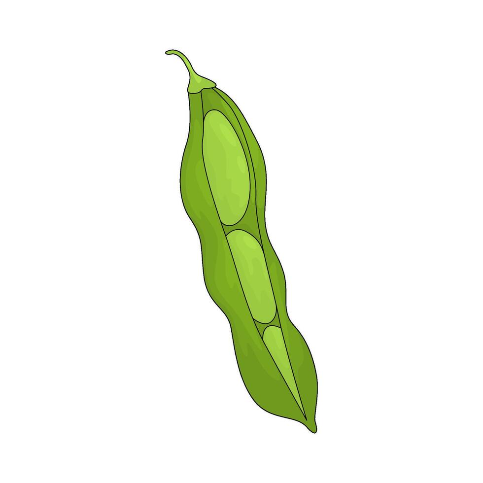 illustration of a fresh edamame vector