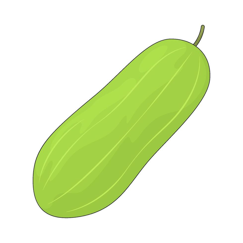 illustration of a cucumber vector
