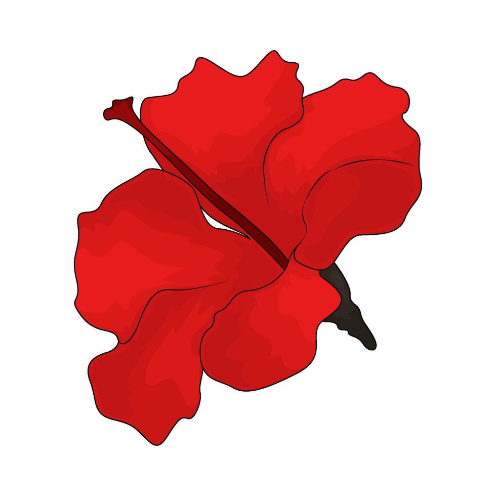 fresh red hibiscus vector