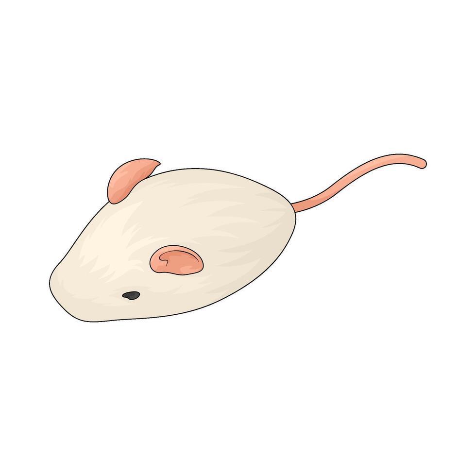 Pet mouse toy vector