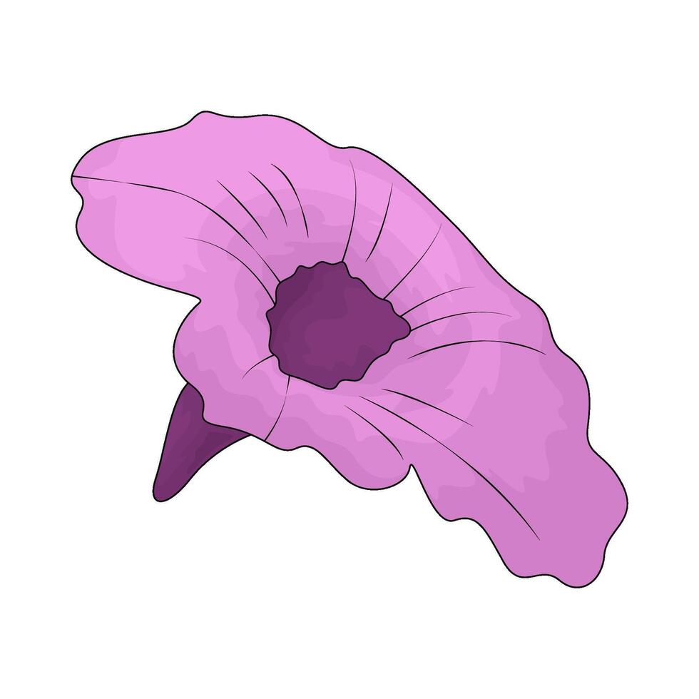 petunia flower illustration vector