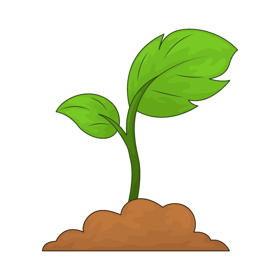 Nature sprout illustration vector