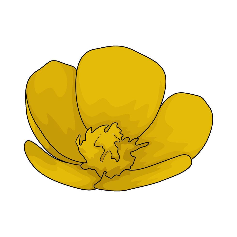 fresh yellow flower vector