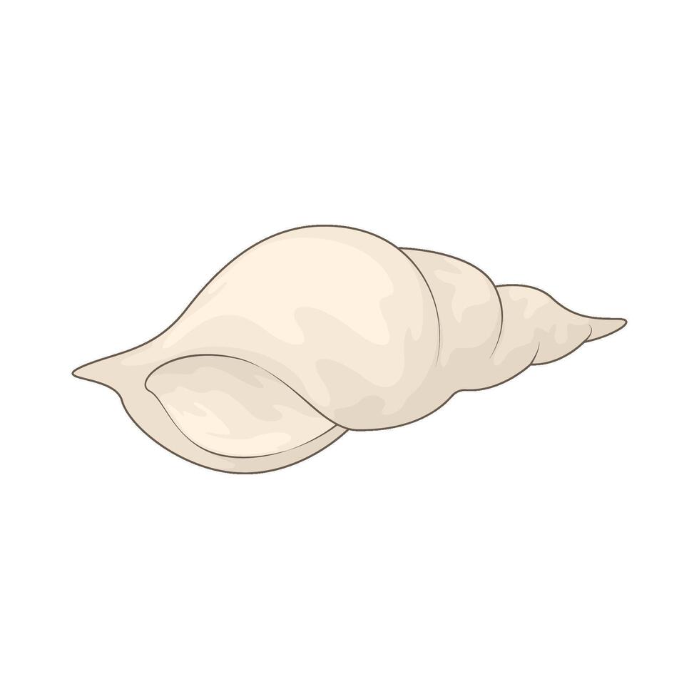 cute seashell illustration vector