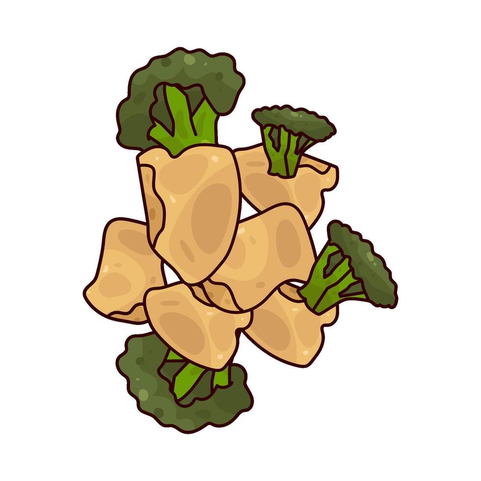 Chicken and Broccoli vector