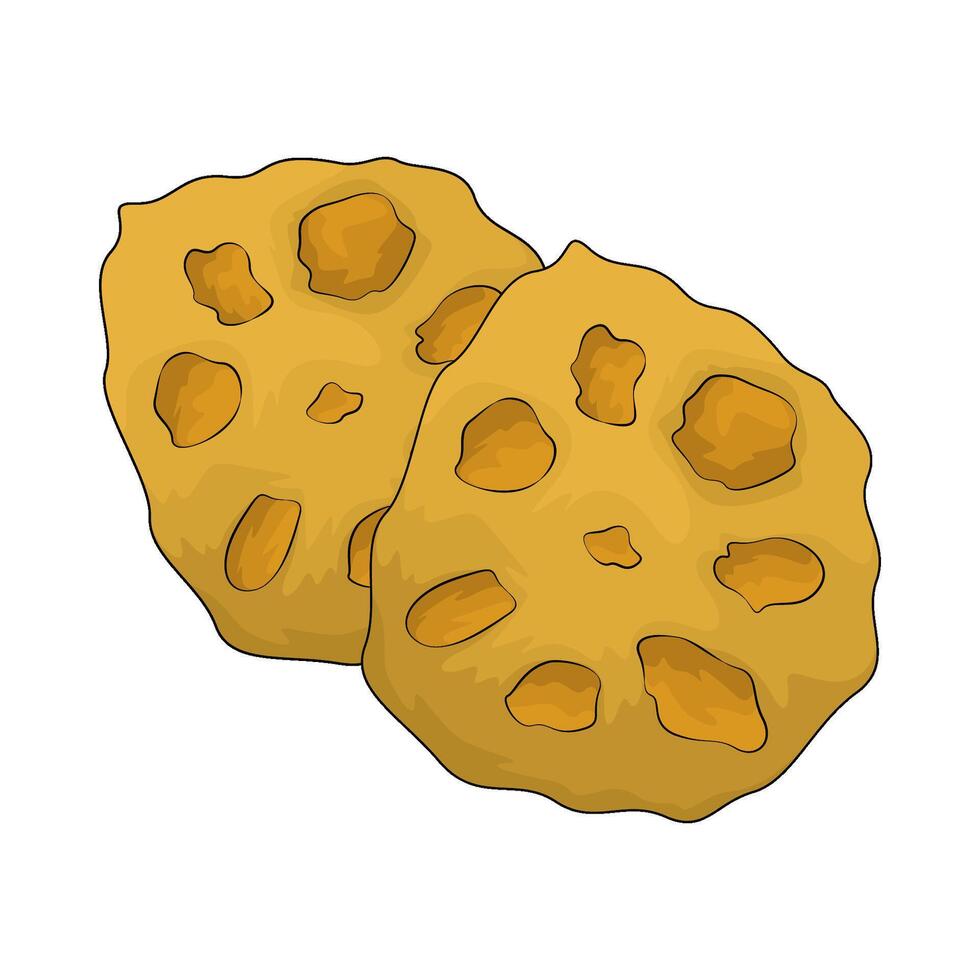 fresh lotus root vector