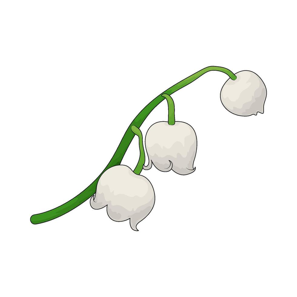 illustration of fresh white flowers vector