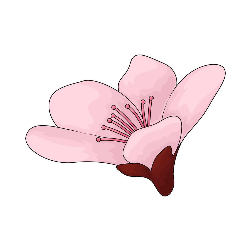 pink sakura blossom vector