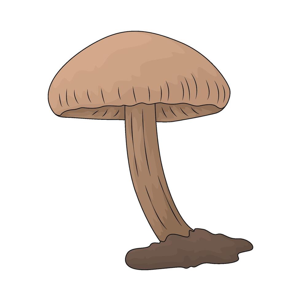 brown mushroom illustration vector