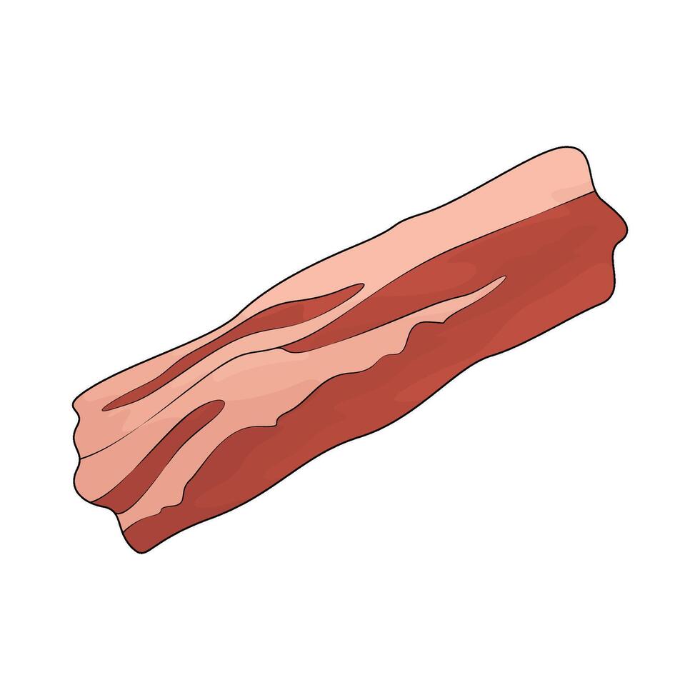 fresh bacon illustration vector