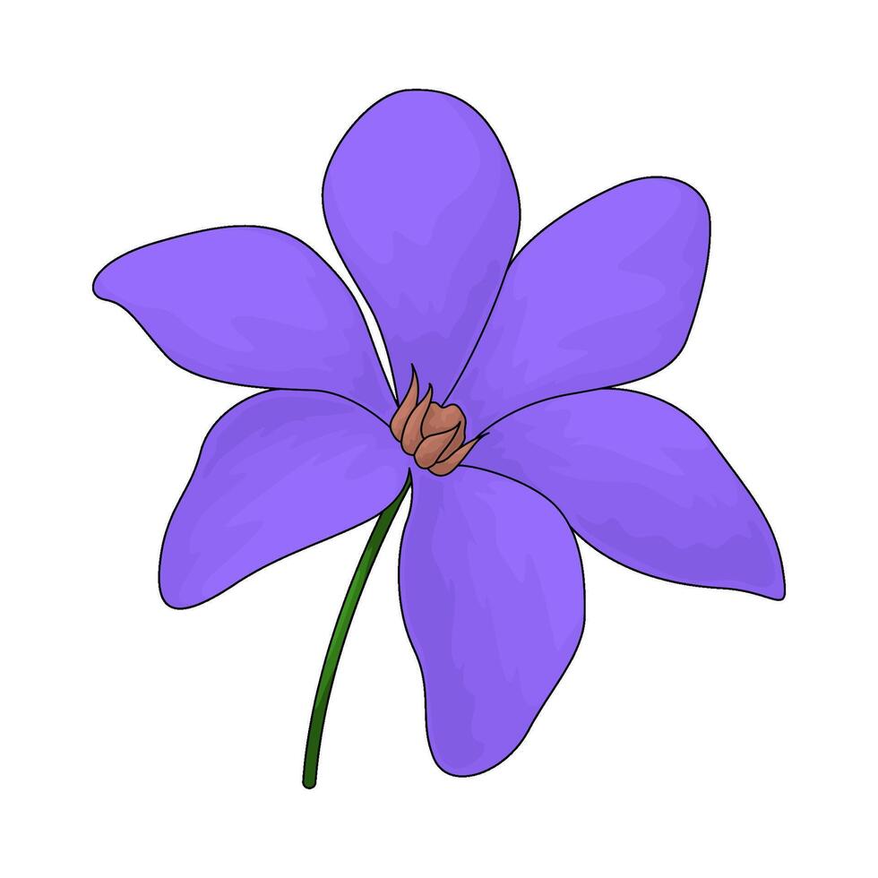 beautiful purple flower vector