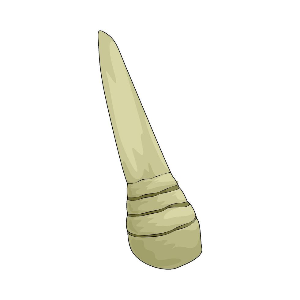 fresh bamboo shoot vector
