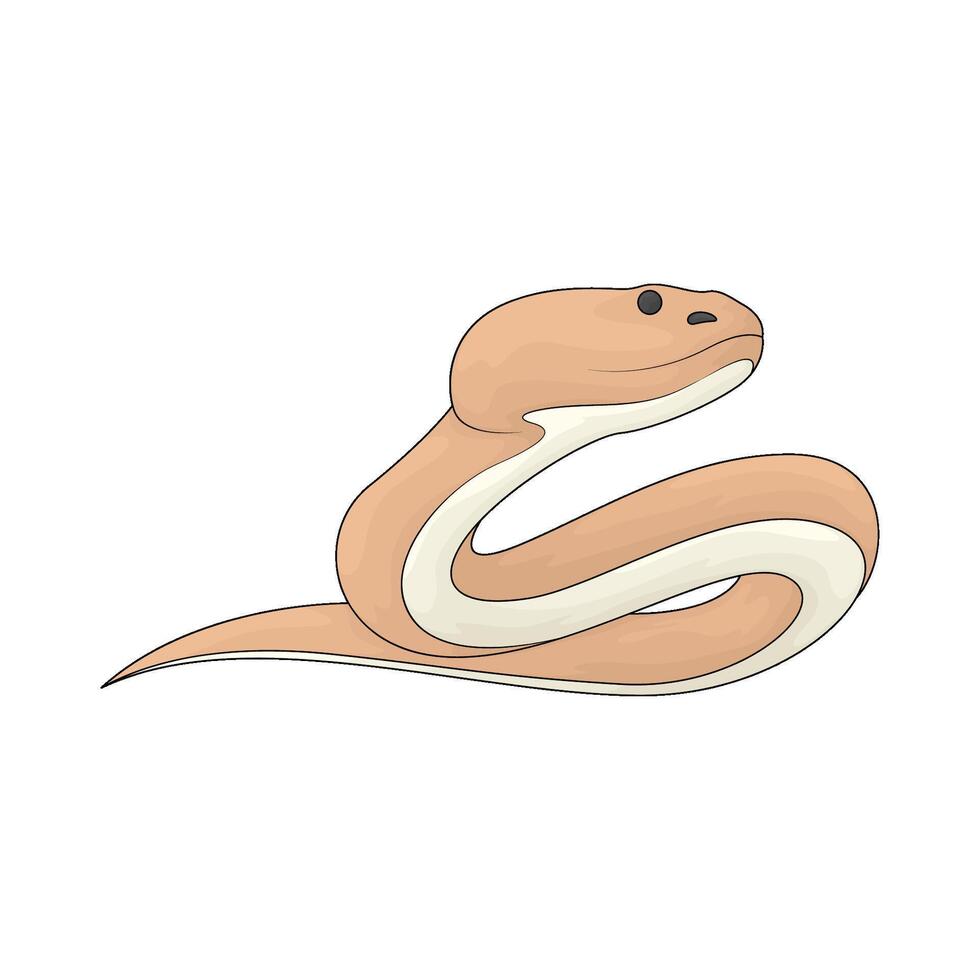 Circus snake illustration vector