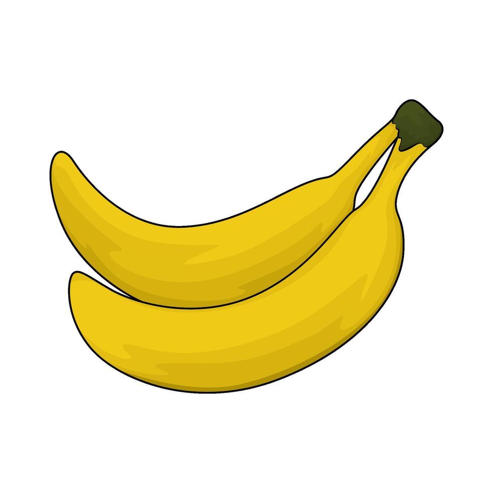 fresh two banana vector