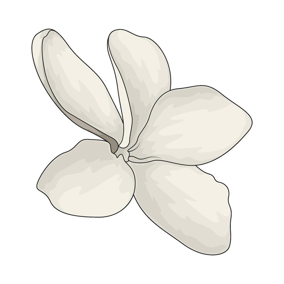 Sauna flower illustration vector