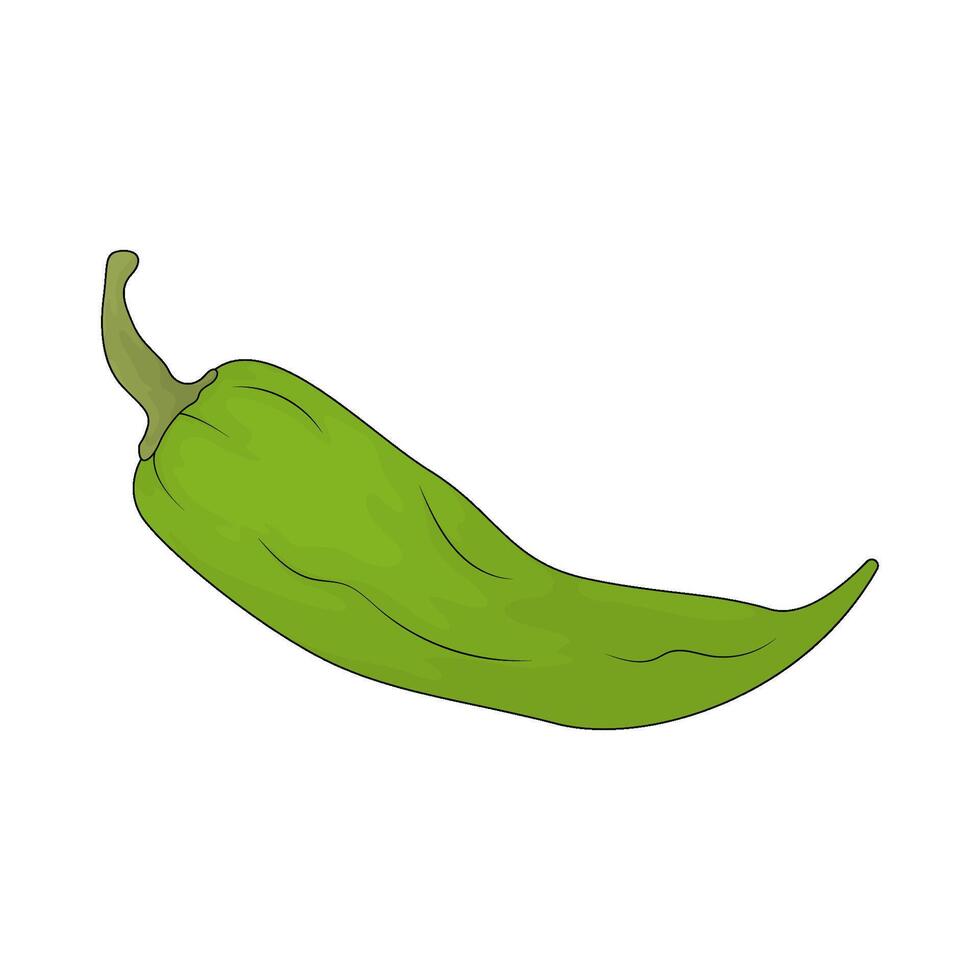 illustration of a green chili vector