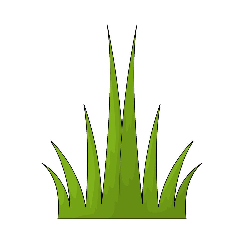 fresh grass illustration vector
