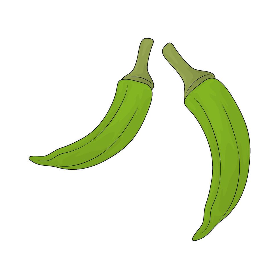 illustration of a fresh okra vector