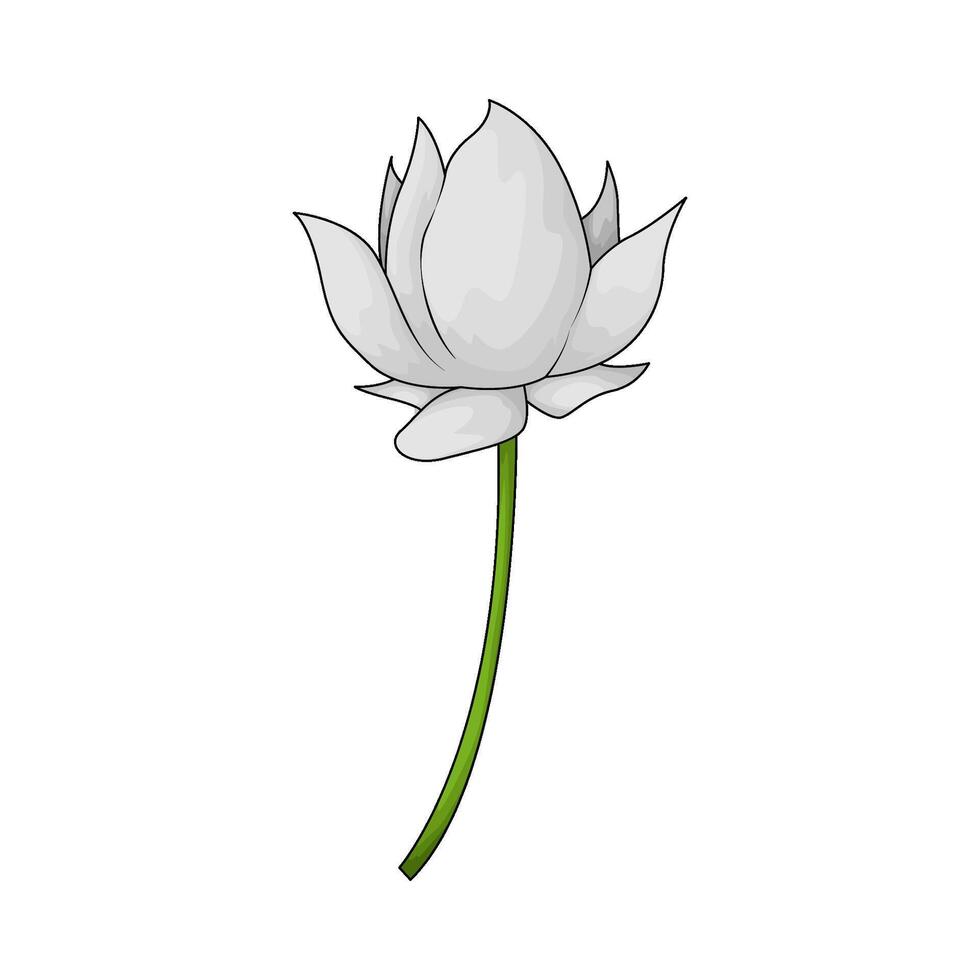 fresh white flower vector