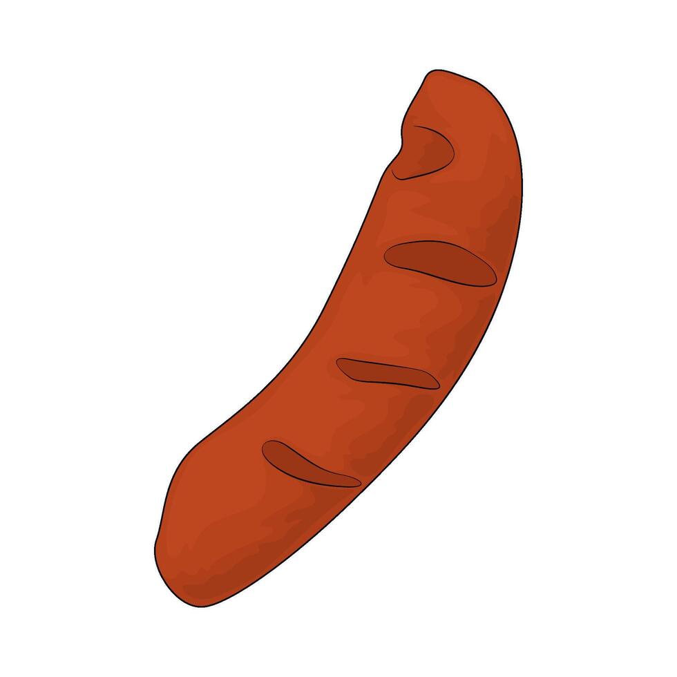 delicious sausage illustrations vector