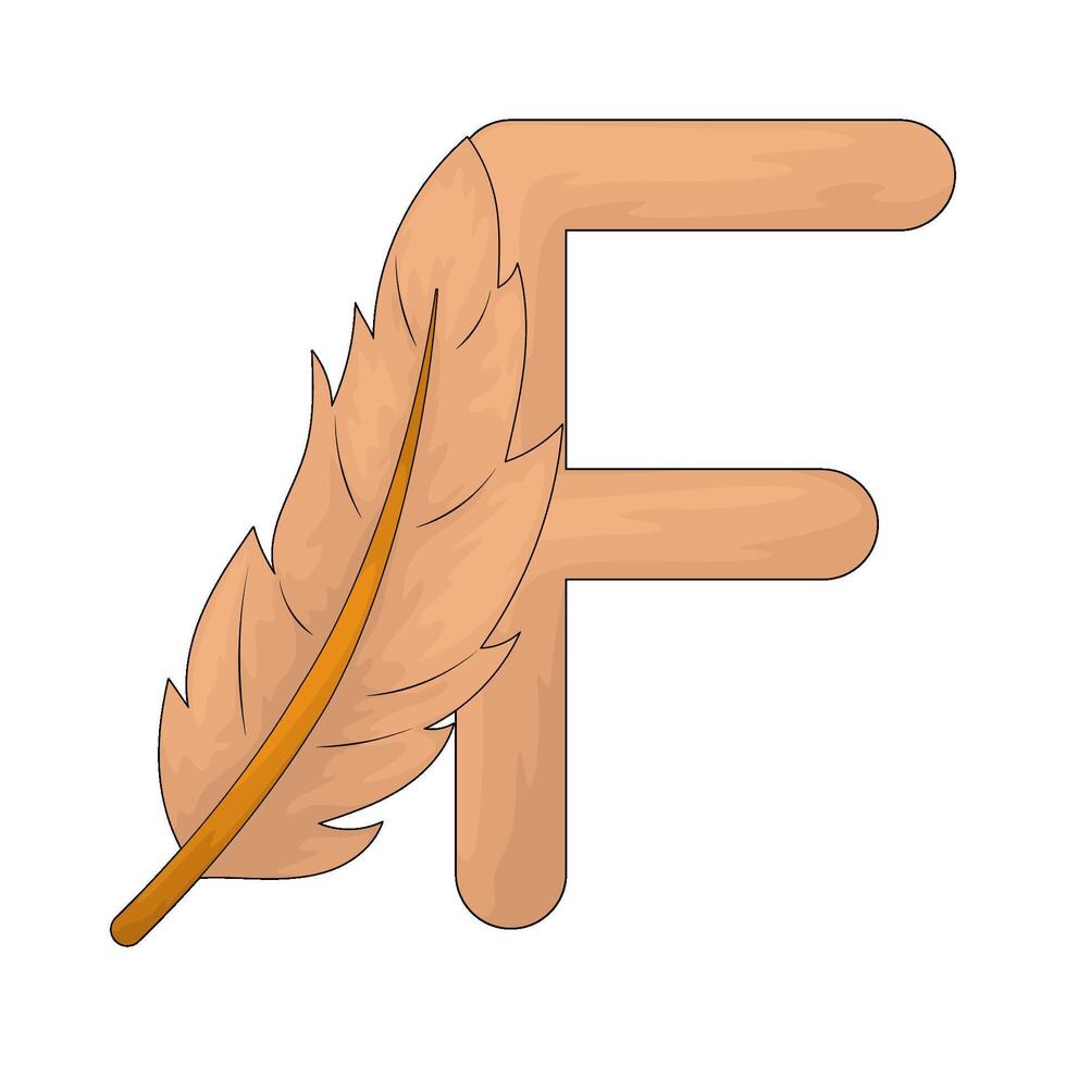 letter f for feather vector