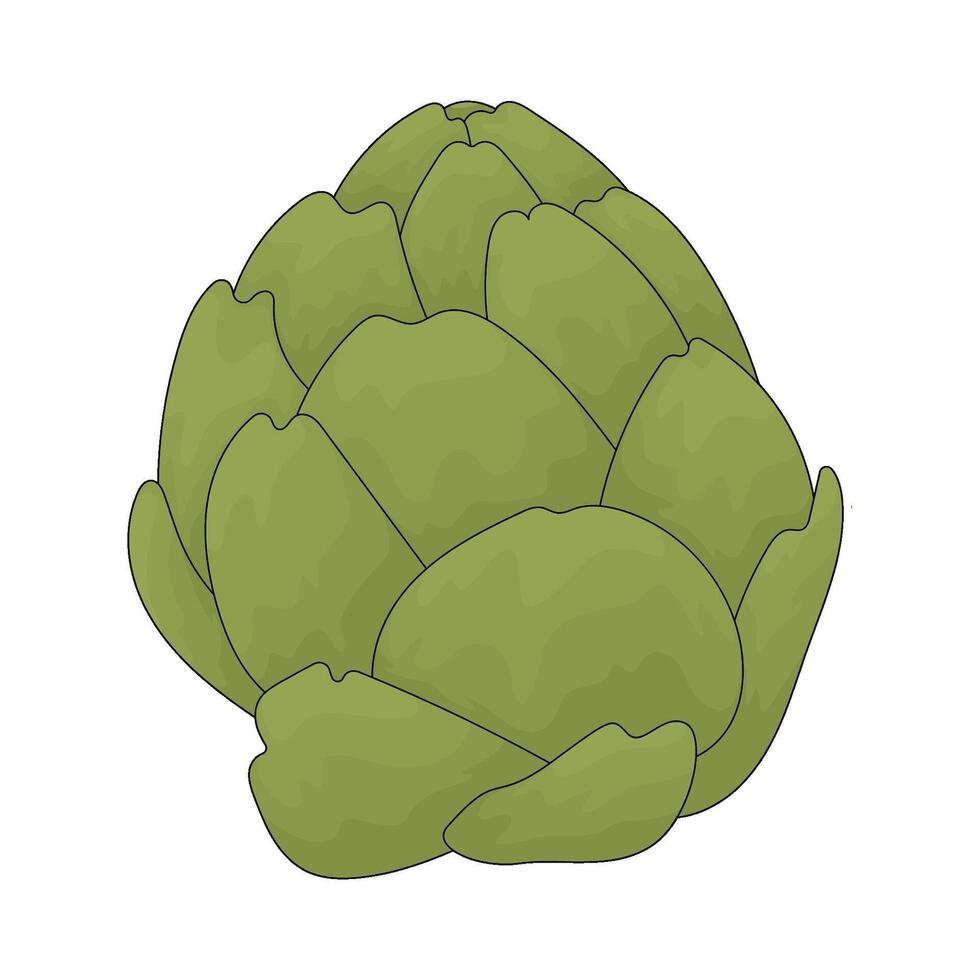 illustration of a artichoke vector