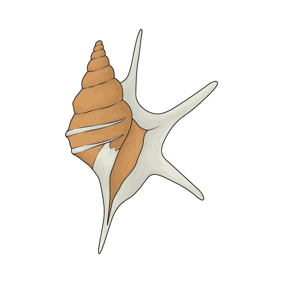 illustration of a seashell vector