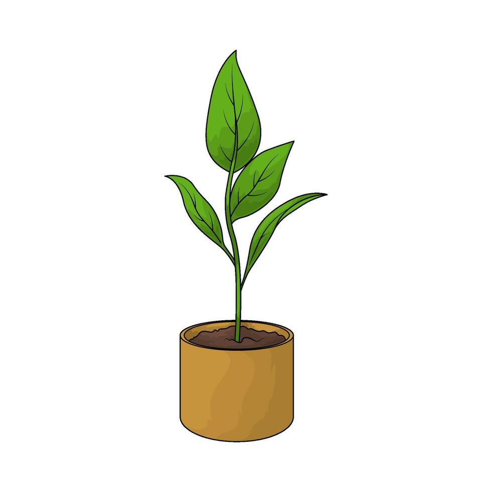 Living Room plant pot vector