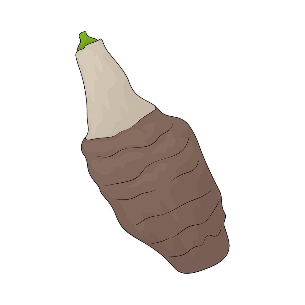illustration of a taro vector