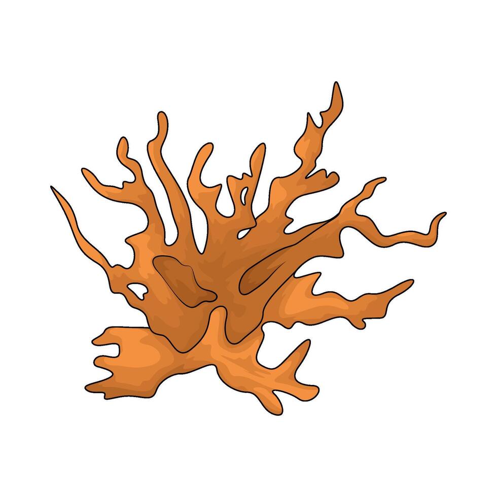 coral reef illustrations vector