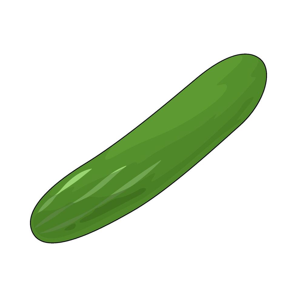 Healthy cucumber illustration vector