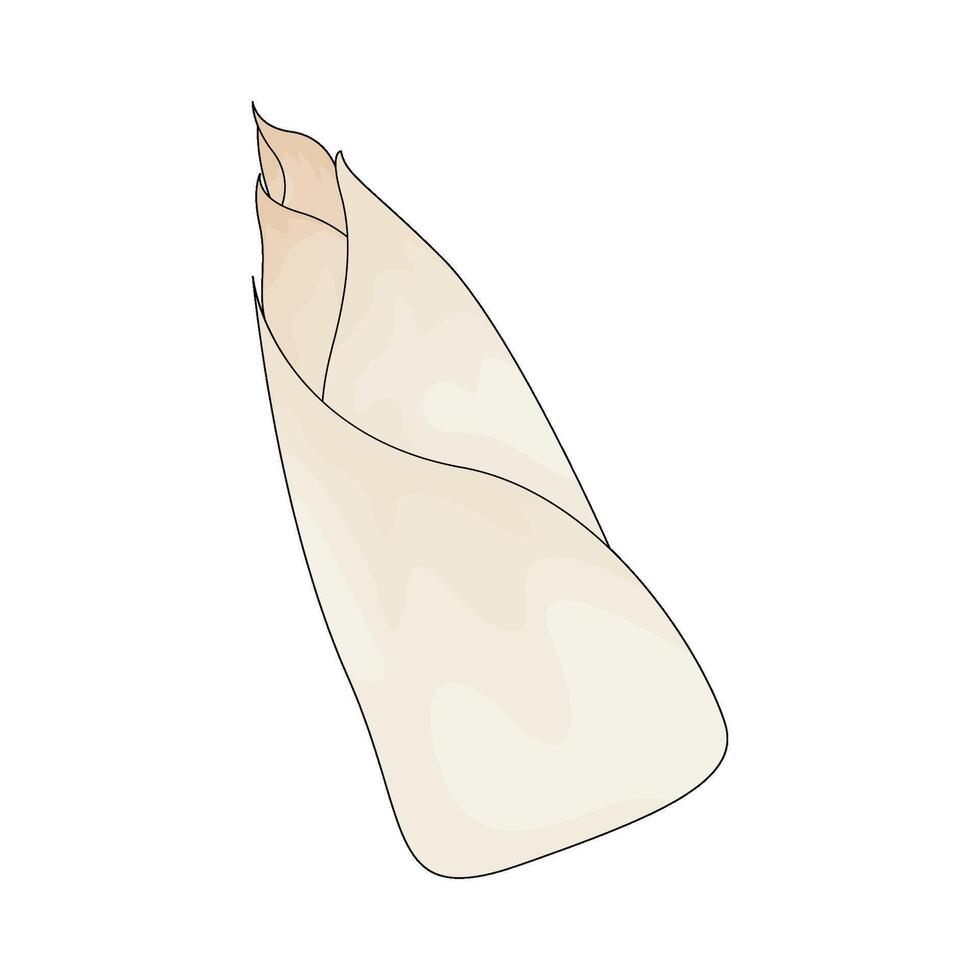 bamboo shoot illustration vector