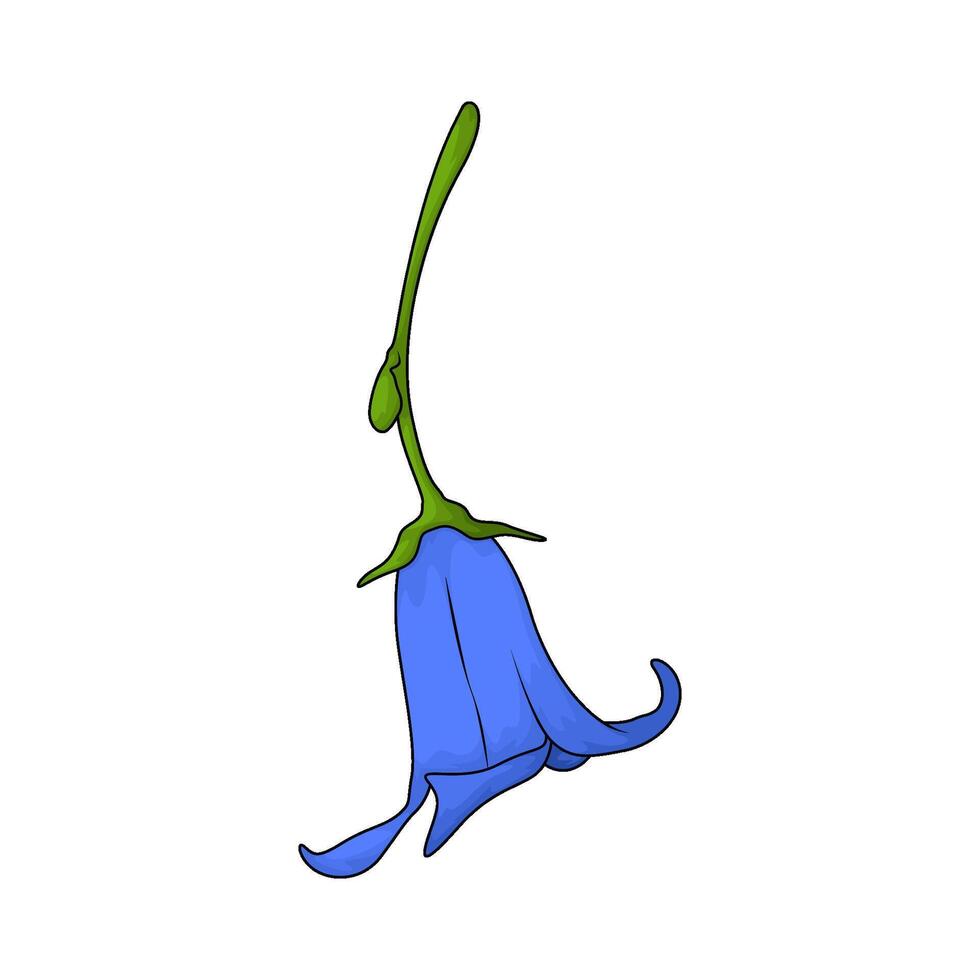 fresh bluebell flower vector