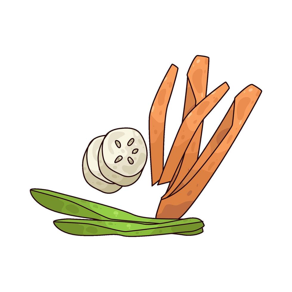 fresh vegetable illustration vector