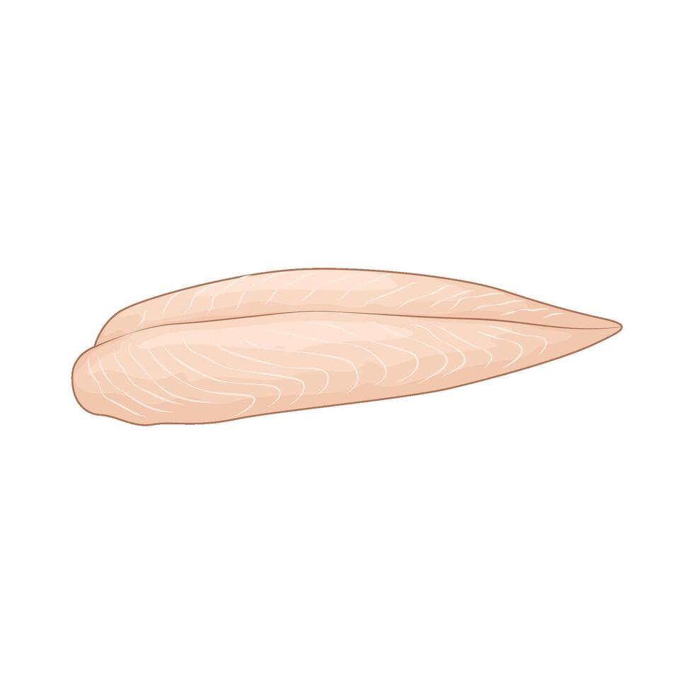 fdresh chicken breast vector