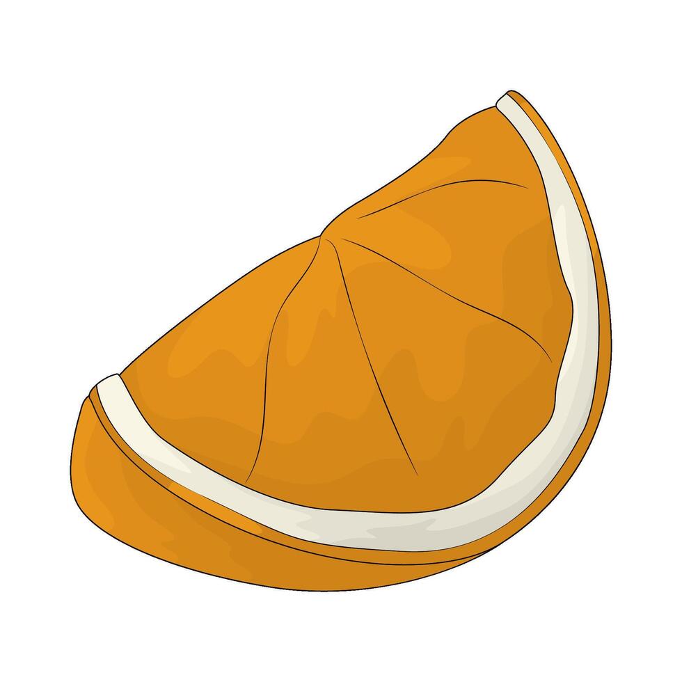orange slices illustration vector