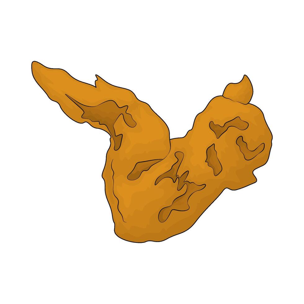 delicious chicken wings vector