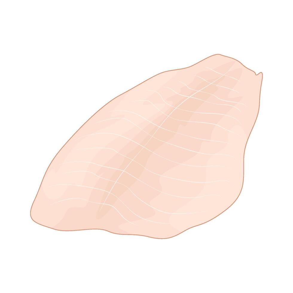 Diet chicken breast vector