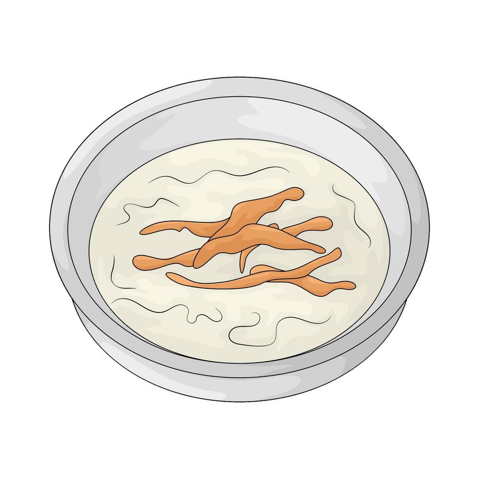 fresh soup illustration vector