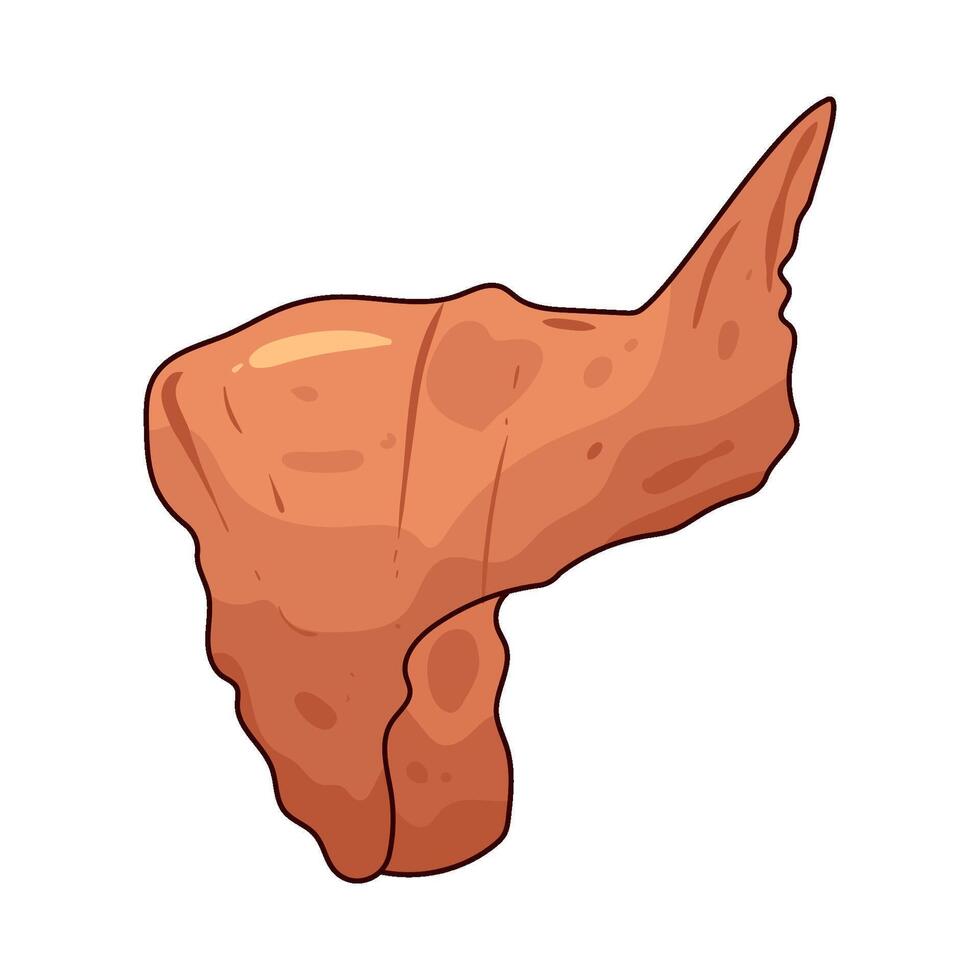 Chicken wings illustrations vector
