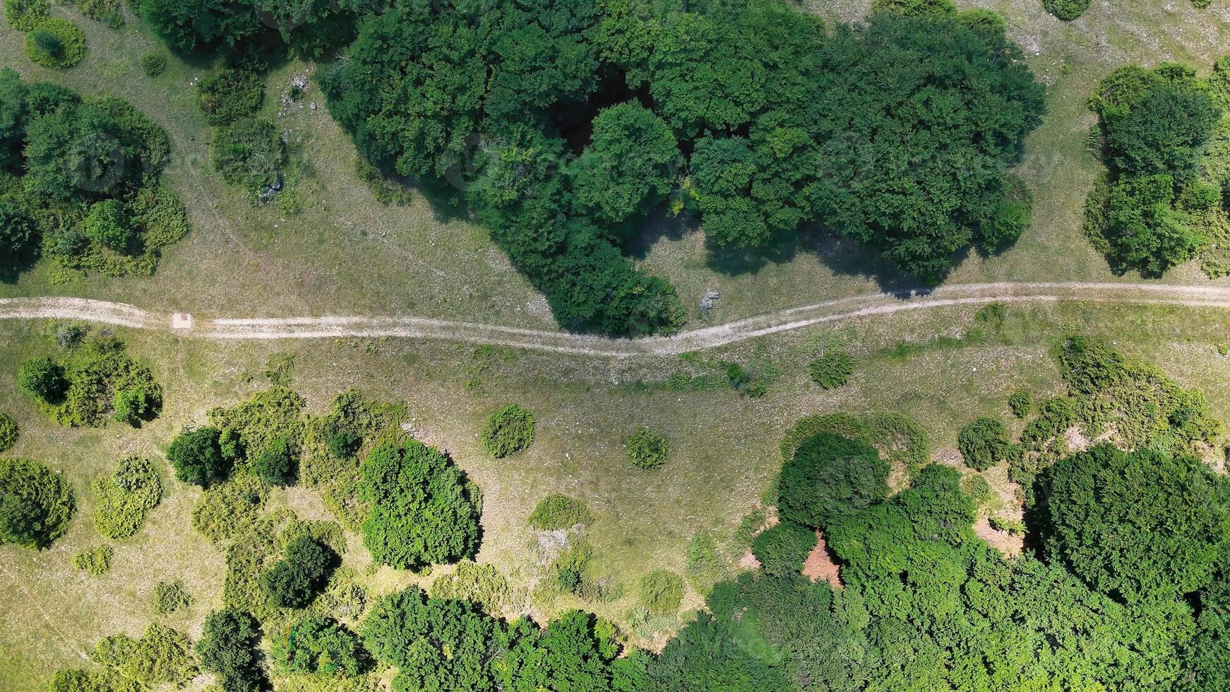 Exploring a serene landscape with winding pathways and lush greenery in a tranquil natural setting photo