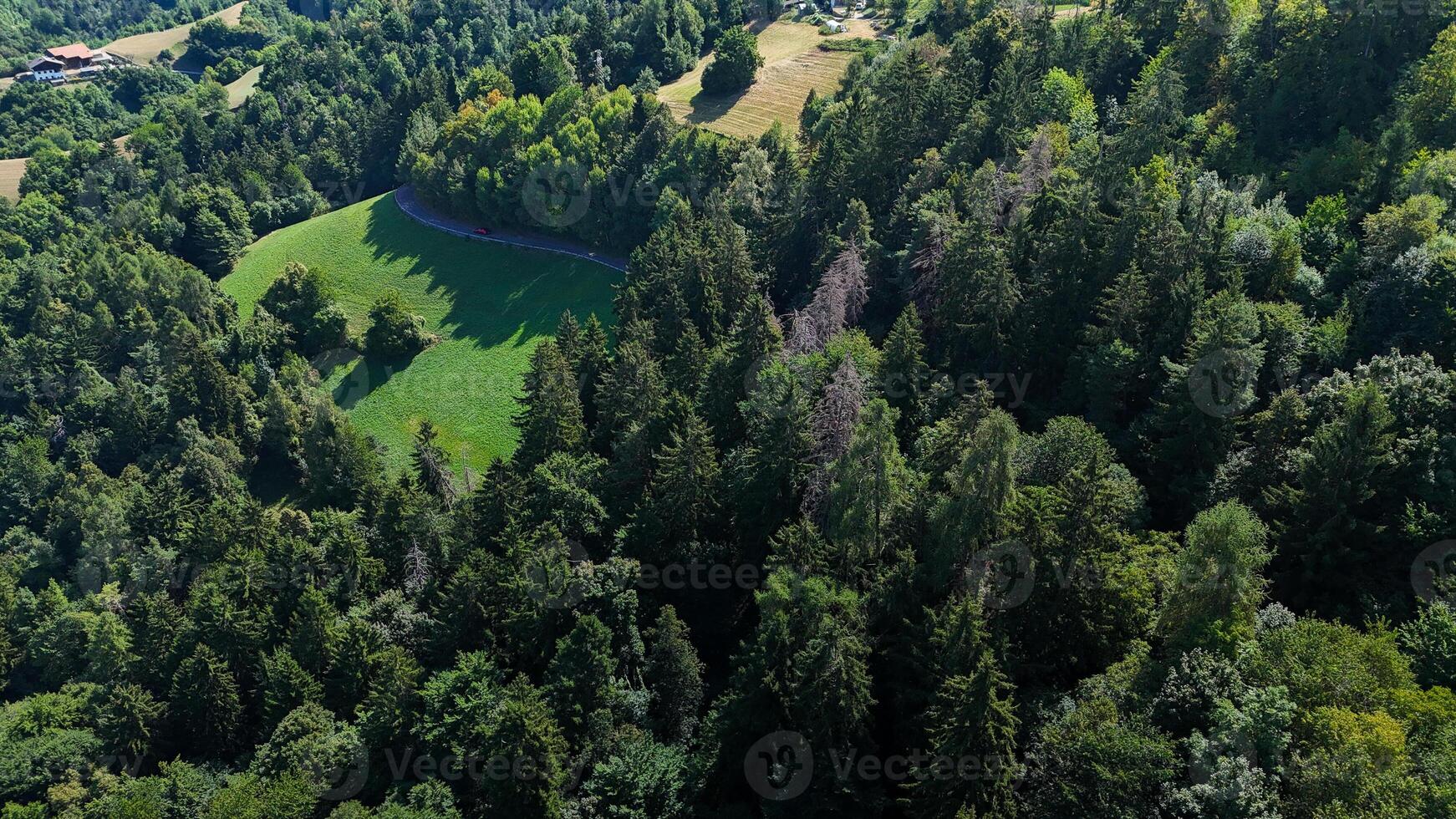 Embracing the tranquility of dense green forests and open meadows in a serene rural landscape during the bright afternoon photo