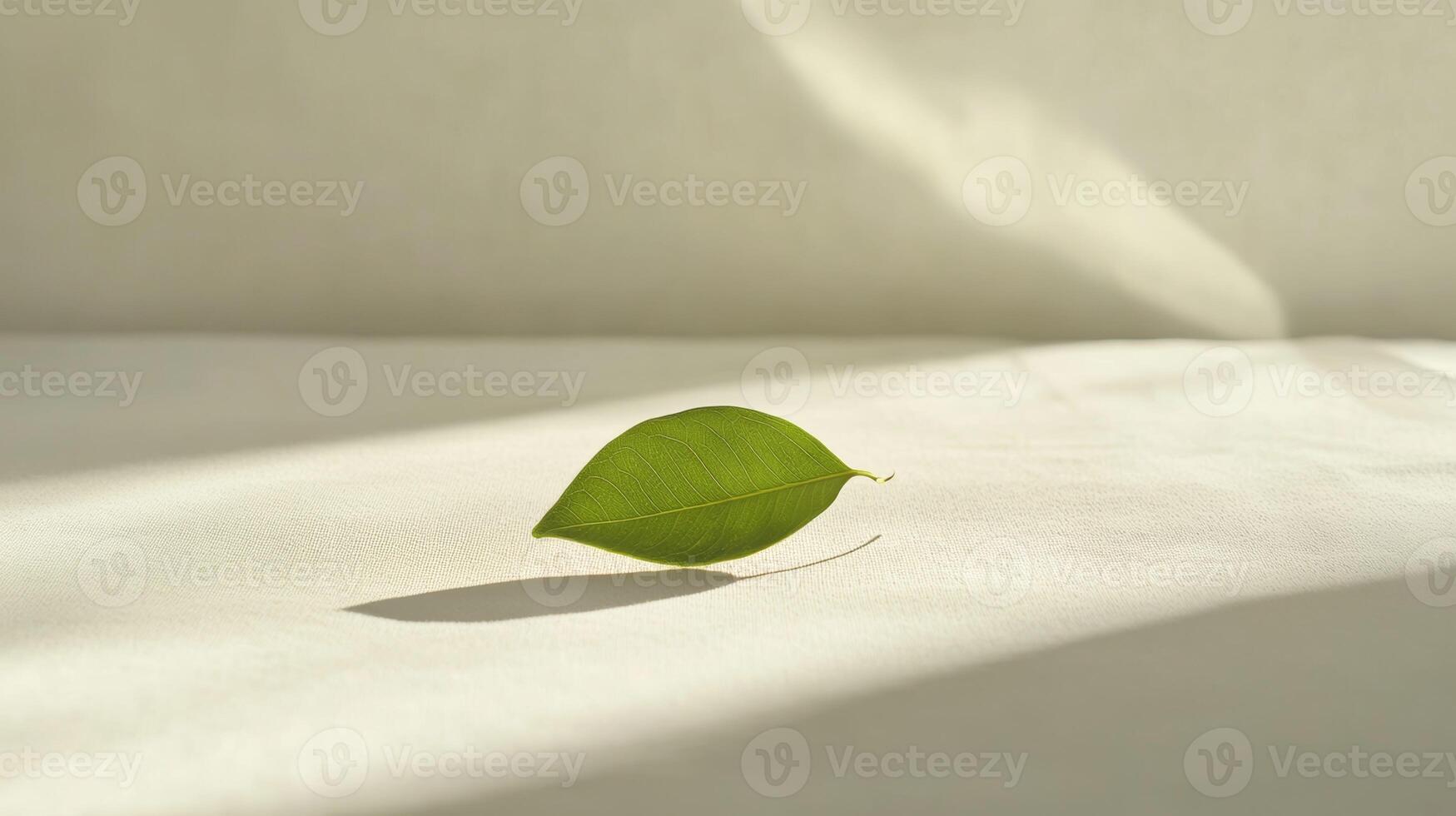 Bright sunlight highlighting vibrant green leaf lying on pristine white surface, creating sharp shadow enhancing minimalist aesthetic and visual depth photo