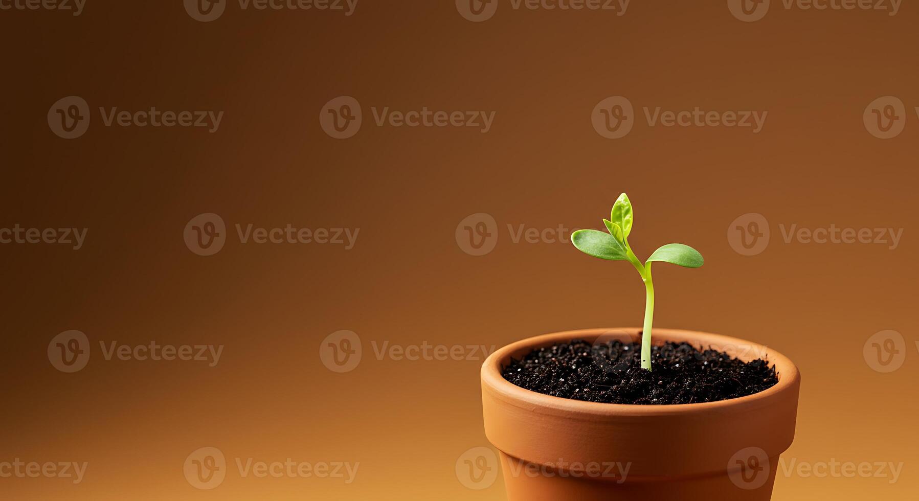 A small plant sprouting from a clay pot on a brown background photo