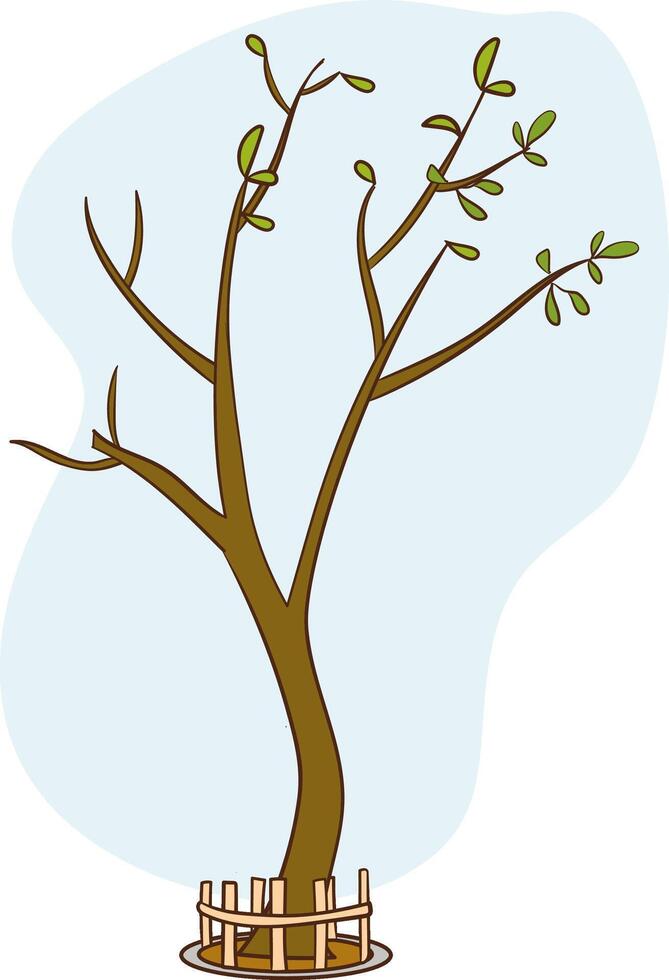 tree sapling visual illustration vector