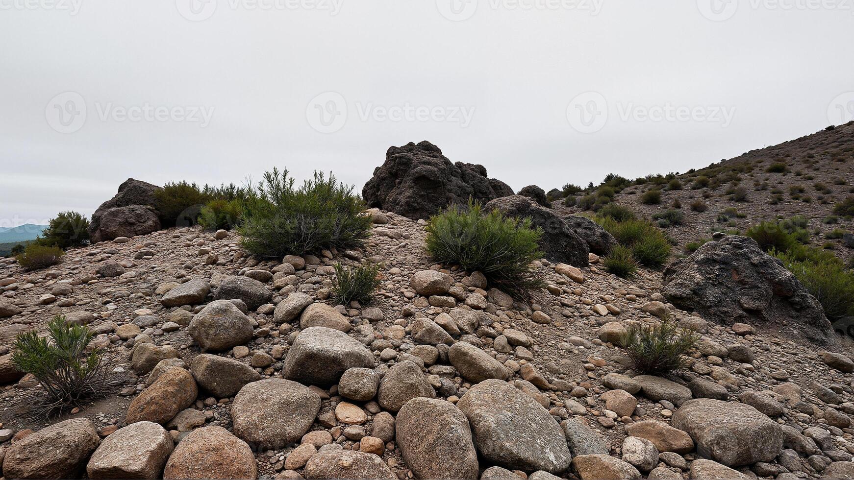 Arid Rocky Landscape with Sparse Green Plants photo