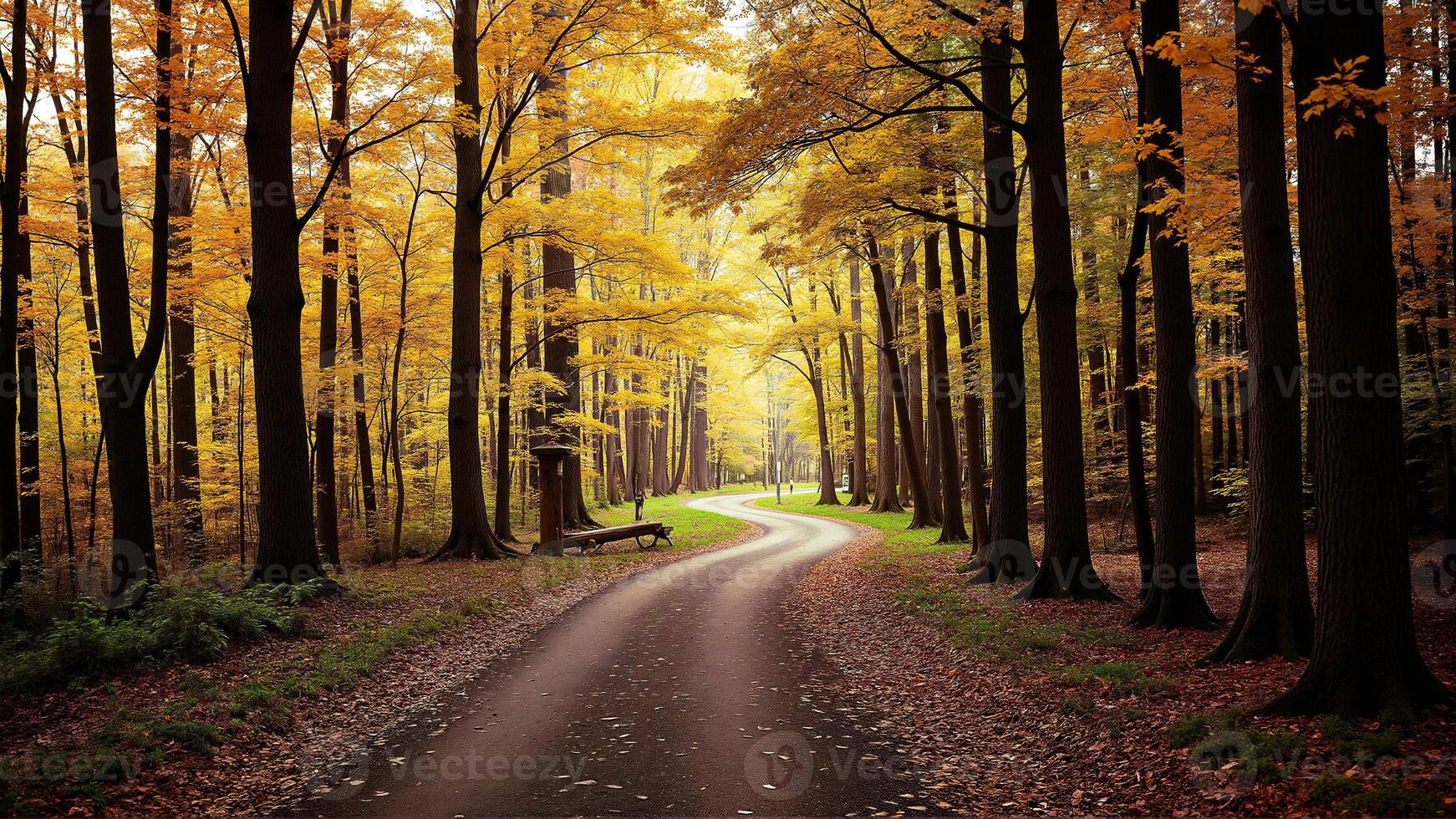 Winding Path Through Vibrant Autumn Forest photo