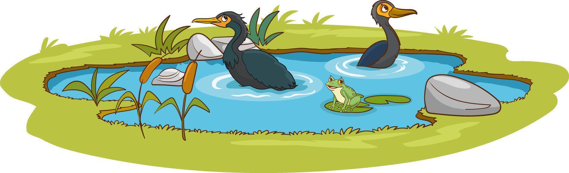 illustration of cormorants and frog in the pond vector