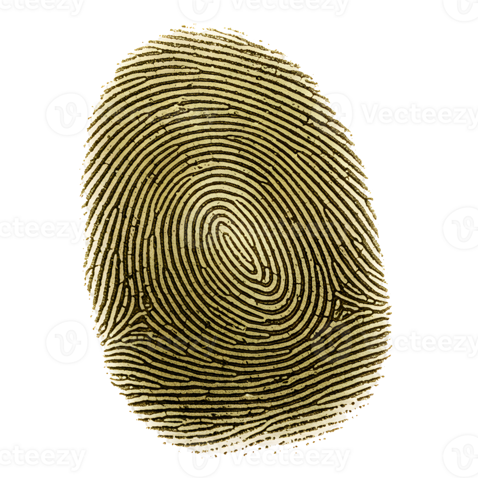Detailed Closeup of a Gold Fingerprint on a Transparent Background png