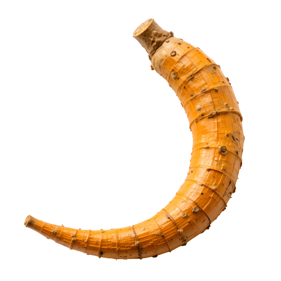 Curved Orange Vegetable Root on Transparent Background png